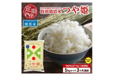 11月下旬発送開始／【3回定期便】令和7年産 無洗米 特別栽培米 つや姫　5kg×3回(計15㎏)「農家直送」 KA SE0389