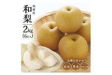 【先行予約】梨 約2kg 6玉 品種おまかせ 幸水 豊水 あきづき 9月発送 10月発送 果物 果実 なし ナシ フルーツ フレッシュ 受賞 甘い 濃厚 酸味 期間限定 贈答 ギフト 日本海 刈屋産 山形産 山形県産 木川果実店 山形 酒田 SA2565