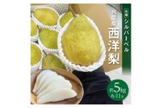 酒田の果物専門店厳選　シルバーベル(洋梨)　約5kg(6～11玉入) SB0661