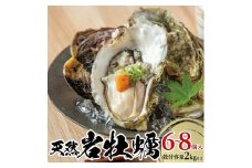 天然岩牡蠣　計2kg以上(6～8個入) SD0179