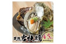 天然岩牡蠣　計1kg以上(4～5個入) SB0655