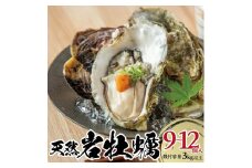 天然岩牡蠣　計3kg以上(9～12個入) SE0387