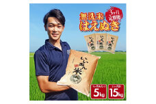 【3回定期便】無洗米はえぬき　5kg×3回(計15kg)　農家直送『いいあん米』AG SF0253