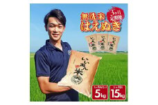 【3回定期便】無洗米はえぬき　5kg×3回(計15kg)　農家直送『いいあん米』AG SF0282