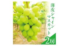 薄皮シャインマスカット 「Hakoiri娘」　1.2kg以上(2房) SC0599