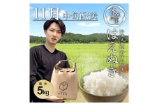 【11月中旬配送】はえぬき 5kg 白米 精米 米 お米 こめ コメ 新米 ブランド米 ご飯 おにぎり 弁当 農家直送 おいしい 先行受付 先行予約 令和7年産 山形産 山形県産 庄内産 本多農園 山形 酒田 SB0700