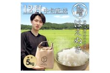 【12月中旬配送】はえぬき 5kg 白米 精米 米 お米 こめ コメ 新米 ブランド米 ご飯 おにぎり 弁当 農家直送 おいしい 先行受付 先行予約 令和7年産 山形産 山形県産 庄内産 本多農園 山形 酒田 SB0703