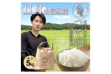11月中旬配送／令和7年産【精米】特別栽培米 つや姫　5kg 農家直送 HO SB0716