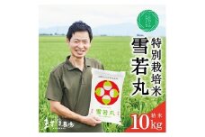 雪若丸 米 令和7年産 10kg 5kg 2袋 11月上旬より順次発送開始 精米 白米 特別栽培米 特栽米 山形つや姫マイスター 金賞受賞 農家 鶴岡ごはん日本一 入賞 玄米 減農薬 減化学肥料 産地直送 お米 ごはん ライス おいしい 山形 酒田 SD0198