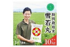 雪若丸 米 令和7年産 10kg 5kg 2袋 11月上旬より順次発送開始 精米 白米 特別栽培米 特栽米 山形つや姫マイスター 金賞受賞 農家 鶴岡ごはん日本一 入賞 玄米 減農薬 減化学肥料 産地直送 お米 ごはん ライス おいしい 山形 酒田 SD0198