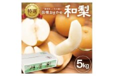 酒田産【特選】 和梨 約5kg (9～16玉入) 品種おまかせ : 晩生種 あきづき梨 南水梨 新興梨 大天梨 甘太 王秋 SB0720