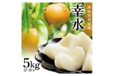 刈屋梨　幸水　約5kg(12～18玉入) SB0744