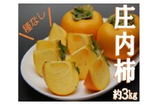 庄内柿　約3kg(18～20個入) SA2688