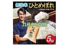 11月中旬配送／令和7年産【無洗米】ひとめぼれ　5kg×1袋 農家直送『いいあん米』AG SB0748