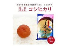 令和7年産【精米】特別栽培米コシヒカリ　5kg×1袋「農家直送」 KA SA2707