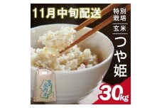 11月中旬配送／令和7年産【玄米】特別栽培米 つや姫　30kg×1袋〈太ももの会〉 FU SG0074