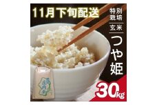 11月下旬配送／令和7年産【玄米】特別栽培米 つや姫　30kg×1袋〈太ももの会〉 FU SG0075