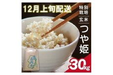 12月上旬配送／令和7年産【玄米】特別栽培米 つや姫　30kg×1袋〈太ももの会〉 FU SG0076