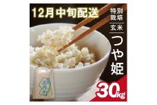 12月中旬配送／令和7年産【玄米】特別栽培米 つや姫　30kg×1袋〈太ももの会〉 FU SG0077