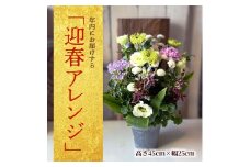 お正月「迎春」アレンジ 2026 SL0262