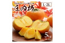 果樹専業農家 佐藤農園の庄内柿　約5kg(29～31玉入)　L～2Lサイズ SA2715
