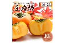 果樹専業農家 佐藤農園の庄内柿　約10kg(54～72玉入)　M～2Lサイズ SA2716
