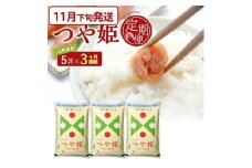 11月下旬発送開始／【3回定期便】 特別栽培米 つや姫 5kg×3ヶ月連続 計15kg 令和7年産 山形県産 精米 白米 庄内米 米 ごはん ご飯 酒田市 庄内 山形県 東北 農協 JAそでうら SG0088