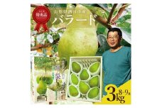 六代多右エ門　西洋梨 バラード 特秀品 　約3kg(8～9玉) 化粧箱入 SA2717
