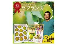六代多右エ門　西洋梨 ラ・フランス 秀品　約3kg(9～10玉) 2L～3Lサイズ 化粧箱入 SA2718