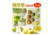 六代多右エ門　西洋梨 おまかせ3品種　約3kg(8～9玉) 化粧箱入 SA2720