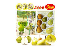 西洋梨 おまかせ3品種 約3kg 8～9玉 12月上旬～12月中旬頃お届け フルーツ くだもの デザート スイーツ 果物 贈答品 化粧箱入 詰め合わせ セット 佐藤農園 山形 酒田 六代多右エ門 SA2720