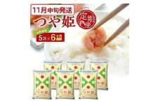 11月中旬発送開始／【6回定期便】 特別栽培米 つや姫 5kg×6ヶ月連続 計30kg 令和7年産 山形県産 精米 白米 庄内米 米 ごはん ご飯 酒田市 庄内 山形県 東北 農協 JAそでうら SM0038