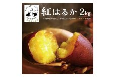豊富な地下水と海からの潮風が育んださつまいも（紅はるか）　2kg SZ0300