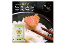令和7年産【無洗米】はえぬき　5kg×1袋 TO SB0774