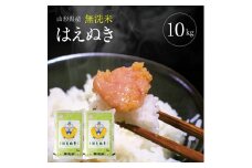 令和7年産【無洗米】はえぬき　10kg(5kg×2袋) TO SE0445