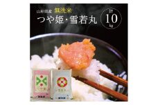 令和7年産【無洗米】つや姫、雪若丸　計10kg(5kg×2袋) TO SE0448