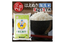 【3回定期便】無洗米 はえぬき　5kg×3回(計15kg) TO SF0287
