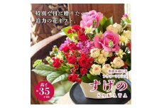 季節を感じるフラワーアレンジ 「SAKATA すげの」 SL0272
