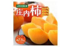 庄内柿　約7.5kg(32～36玉入)　L～2Lサイズ SA2740