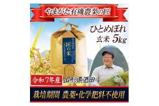 令和7年産【玄米】ひとめぼれ 5kg〔やまがた有機農業の匠〕 HA SA2748