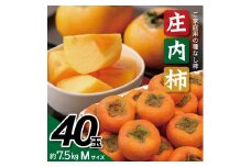庄内柿　約7.5kg(40玉入)　Mサイズ SA2739