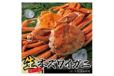 【訳あり】春の生・本ズワイガニ 2匹(計650g程度) SB0765