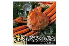 春の生・本ズワイガニ　1匹(400g程度) SB0768