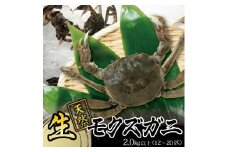 春の生・天然モクズガニ　2kg以上（12～20匹入） SB0770