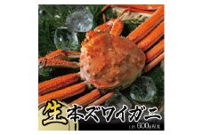 生・本ズワイガニ　1匹(600g程度) SE0444