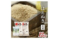 令和7年産【玄米】はえぬき　12kg(5kg×2袋+2kg×1袋) YA SE0455