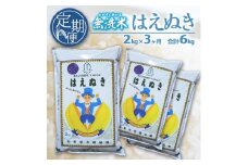 【3回定期便】無洗米 はえぬき　2kg×3回(計6kg) SA SC0620