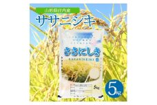 令和7年産【精米】ササニシキ　5kg×1袋 AK SB0782