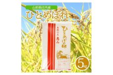 令和7年産【精米】ひとめぼれ　5kg×1袋 AK SA2772