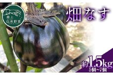 最上伝承野菜「畑なす」約1.5kg なす ナス 茄子 野菜 なすび 夏野菜 F3S-2197